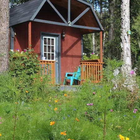Dfa Cabin Rentals Talkeetna Exterior photo